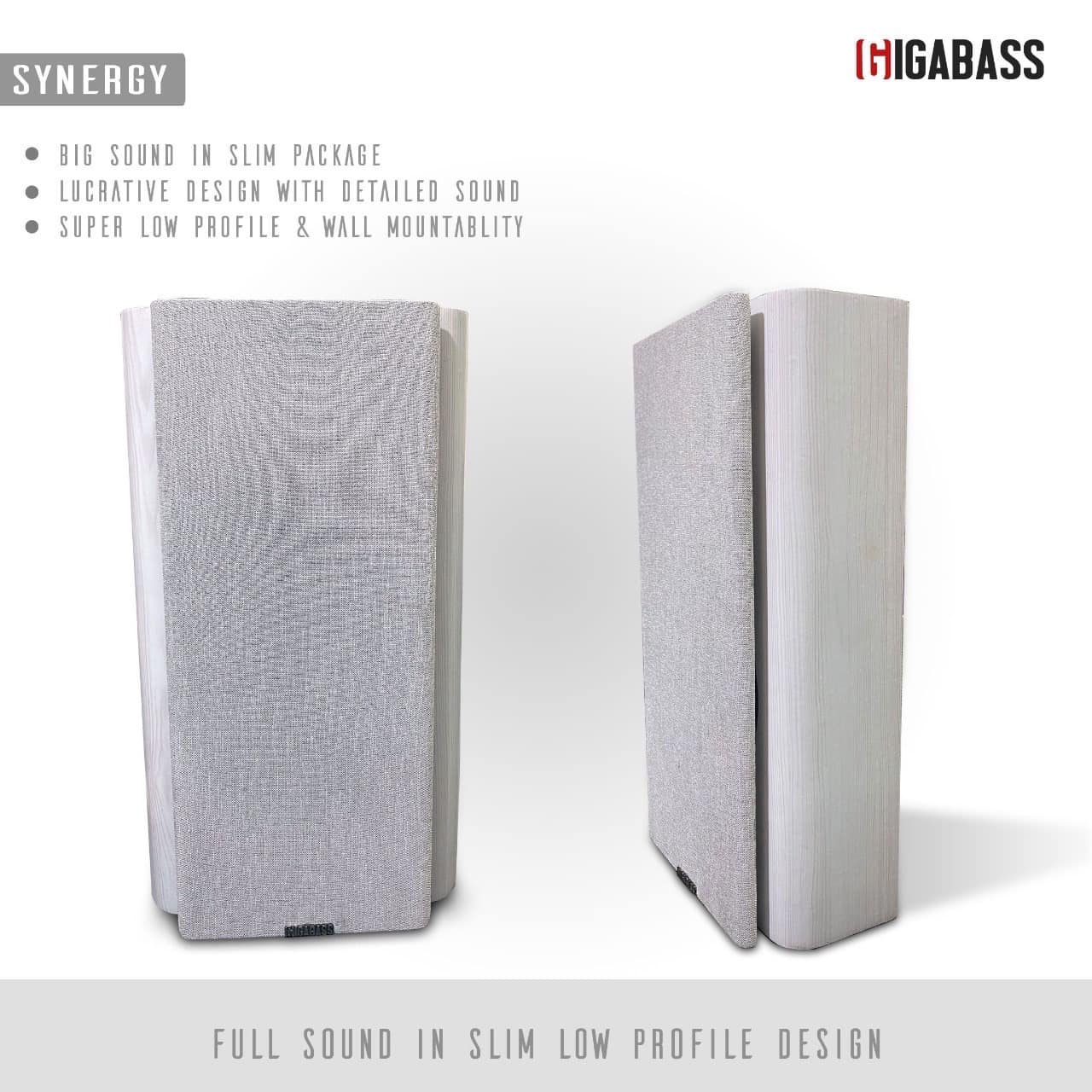 Synergy Wall Mount Speaker